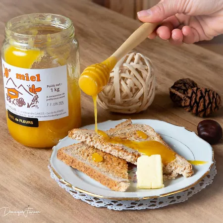 Le Castel D'alti Hotel Bagneres-de-Luchon